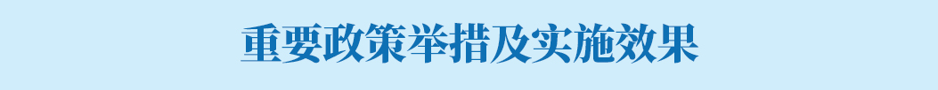 重要政策措施及實施效果